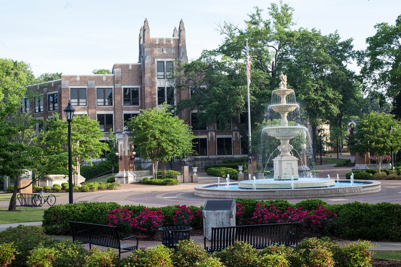 Roles and Responsibilities